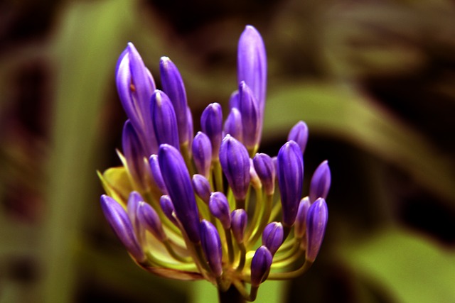 坚定的意志 坚定的意志