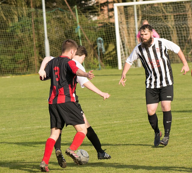 滚轮与跑步 滚轮与跑步