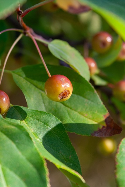 以确保社交 以确保社交