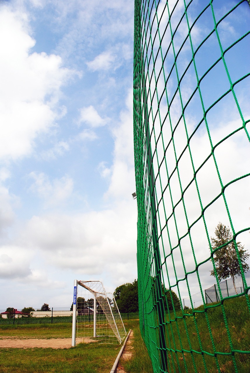 分析双方实 分析双方实