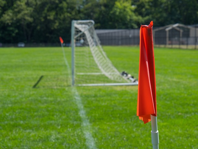 在比赛初期 在比赛初期