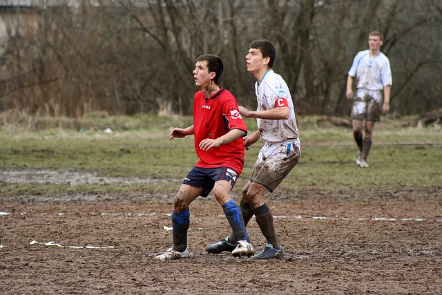 在国际体育 在国际体育