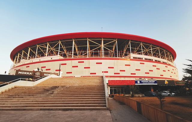 在年轻一代 在年轻一代